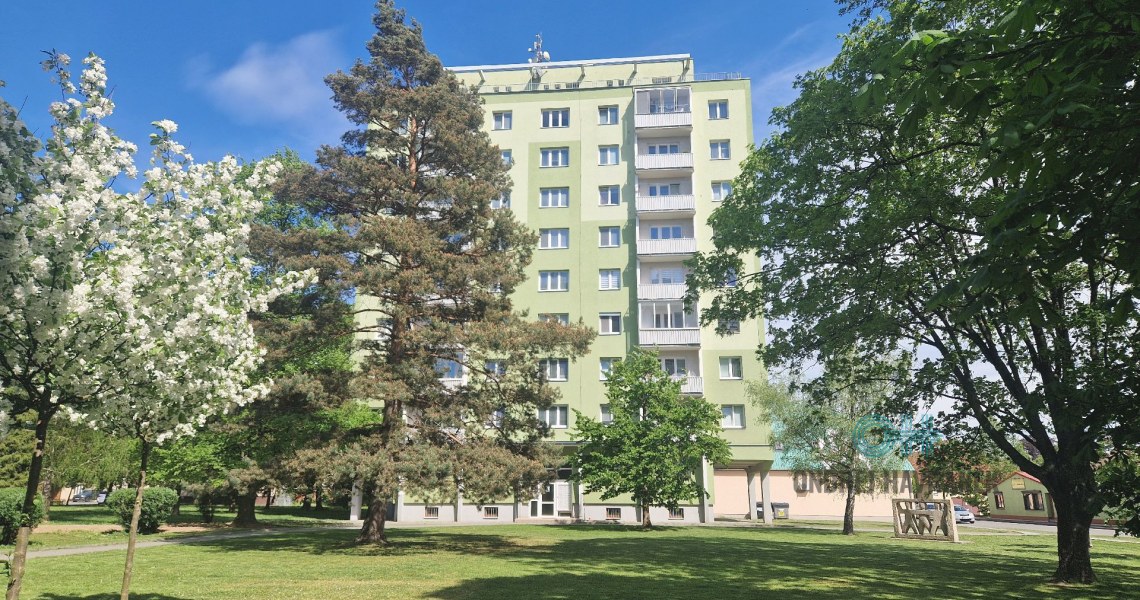 50_7431279449.jpg